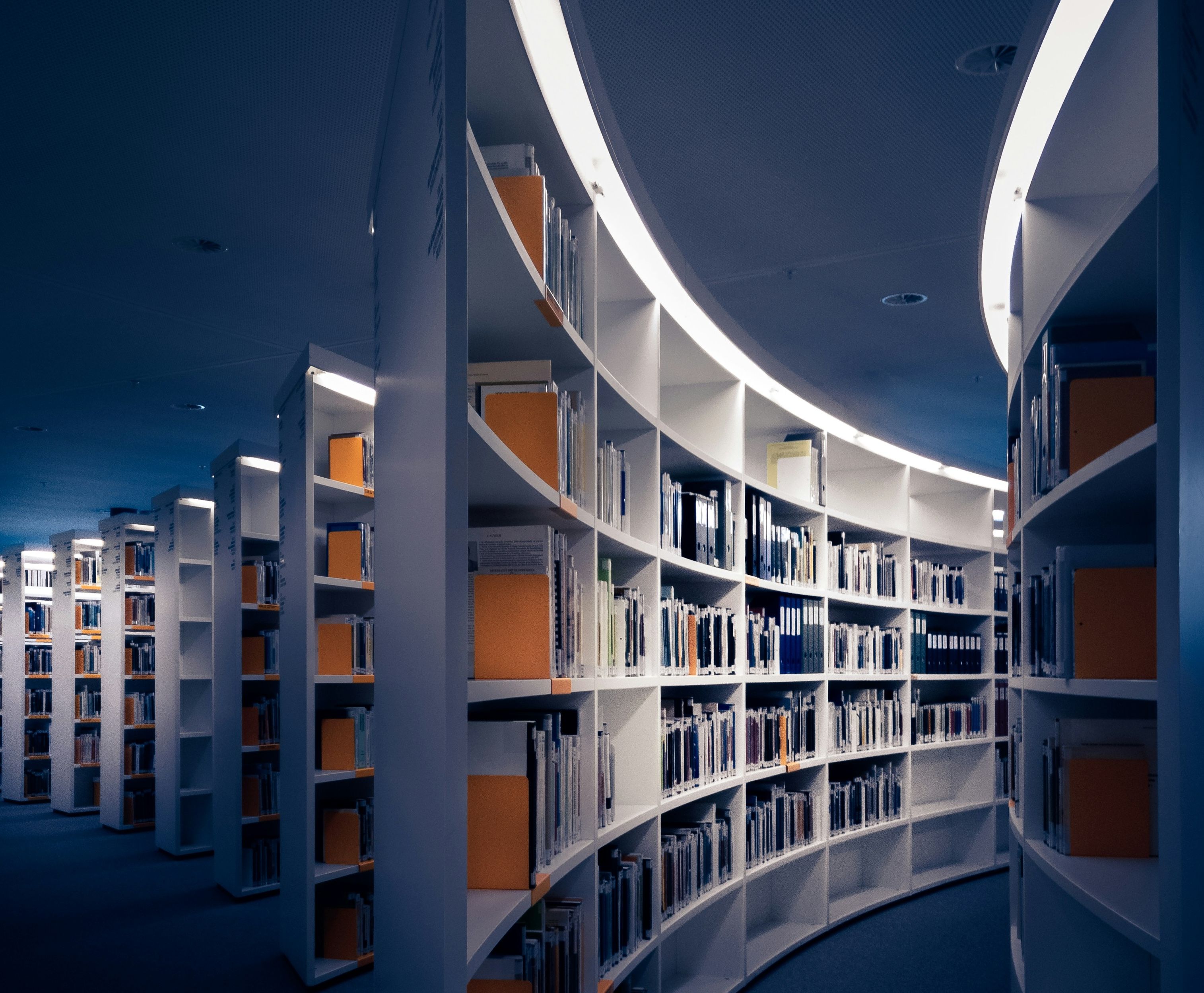 Full library shelves